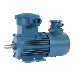 YBBP-355M2-10(132kw 600r/min)(Ex db IIB T4 Gb)隔爆型變頻調(diào)速三相異步電動機(jī)