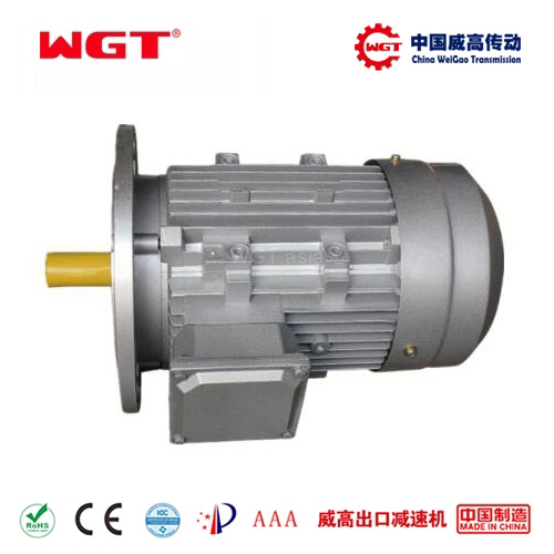 YE2系列铜线绕三相电机 电动机马达 中国威高 WGT严选