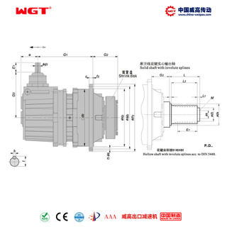 P2KD36 (i:112-500) P行星齿轮箱 一级锥齿-斜齿直交轴 渐开线花键实心轴
